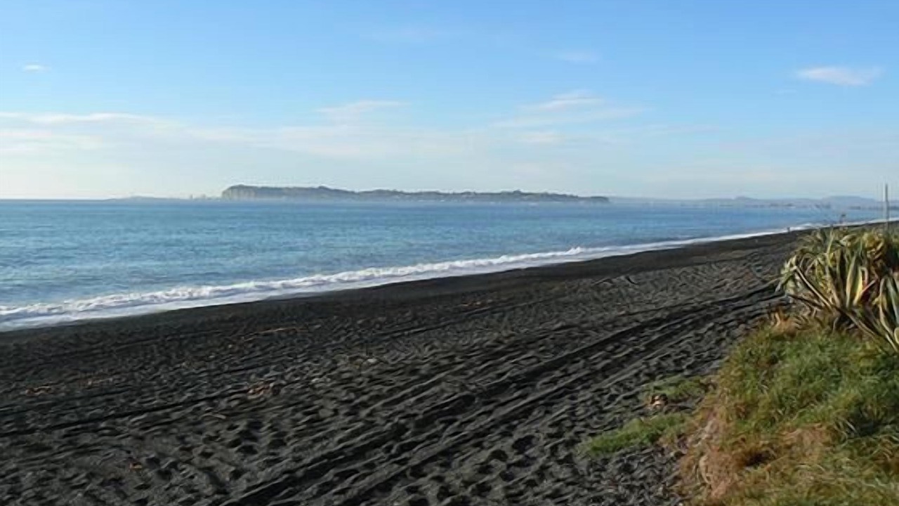 Photo of Others in Napier