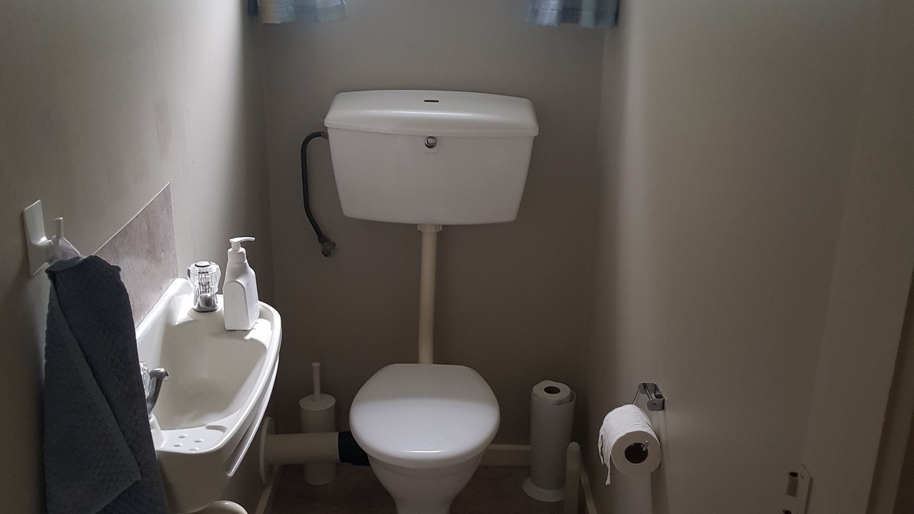 Photo of Others in Napier