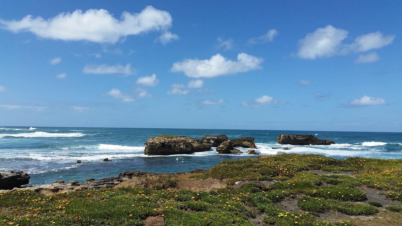 Photo of Others in Peterborough