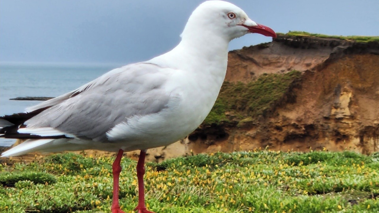 Photo of Others in Peterborough