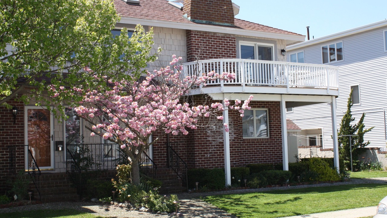 Photo of Outdoor in Townsend's Inlet