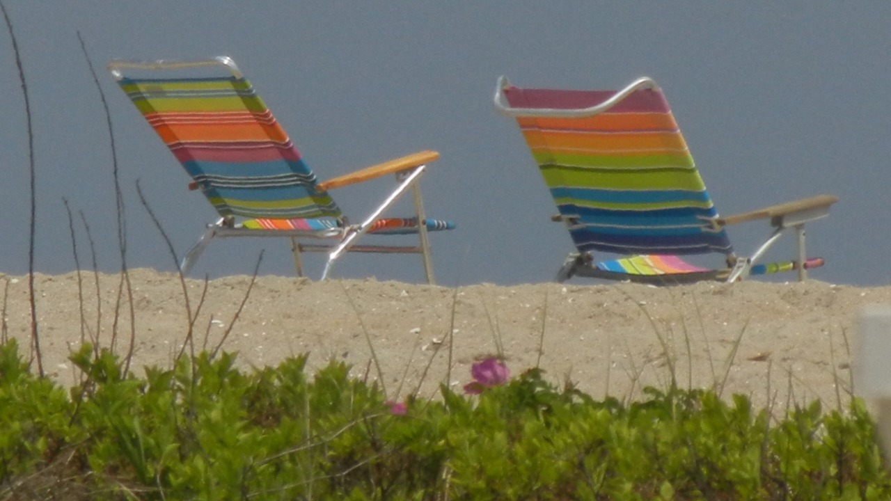 Photo of Others in Beach Haven