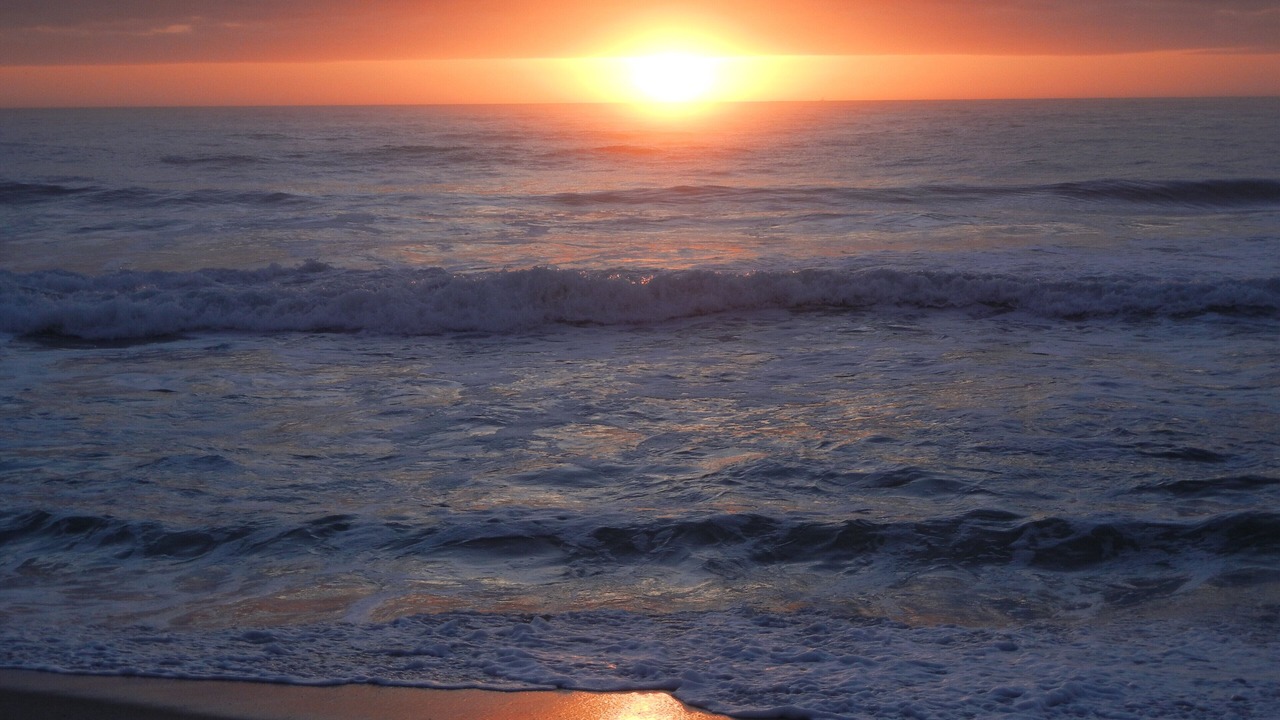 Photo of Others in Beach Haven