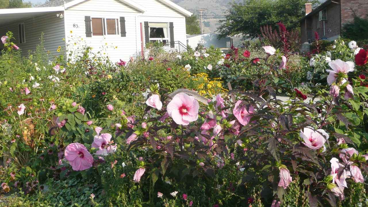 Photo of Others in Brigham City