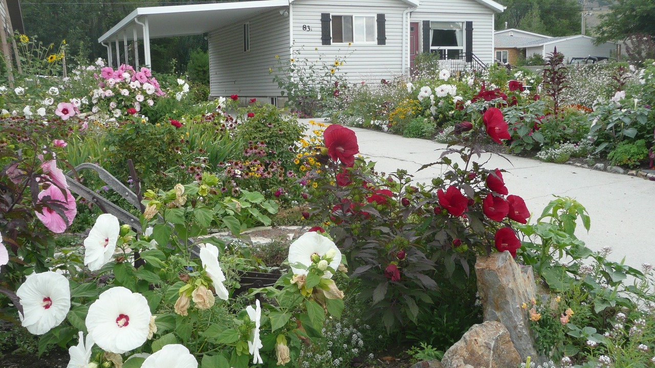 Photo of Others in Brigham City
