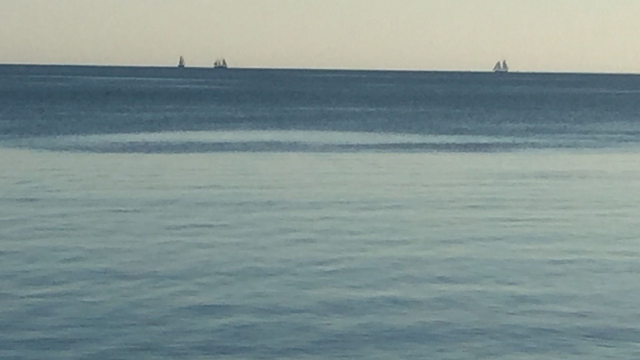 Photo of Others in North Truro