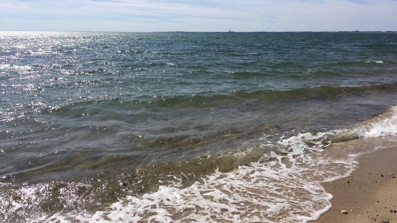Photo of Others in North Truro