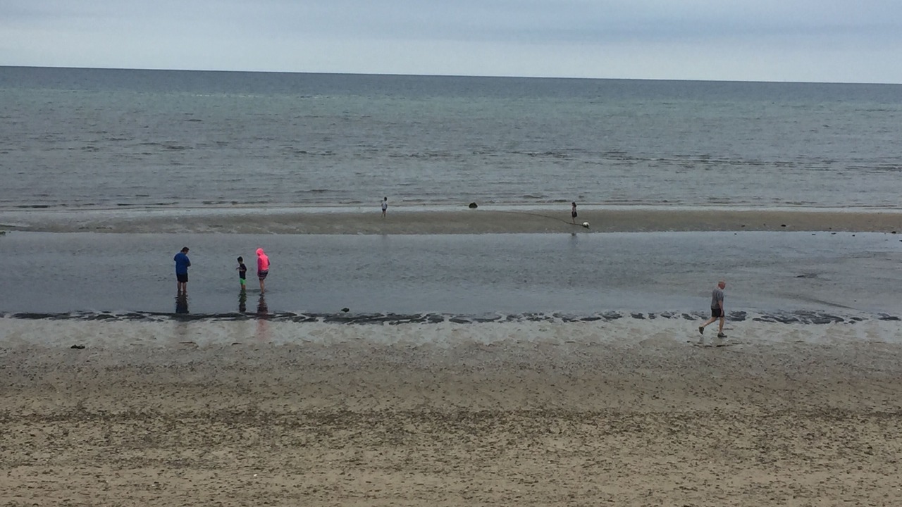 Photo of Others in North Truro