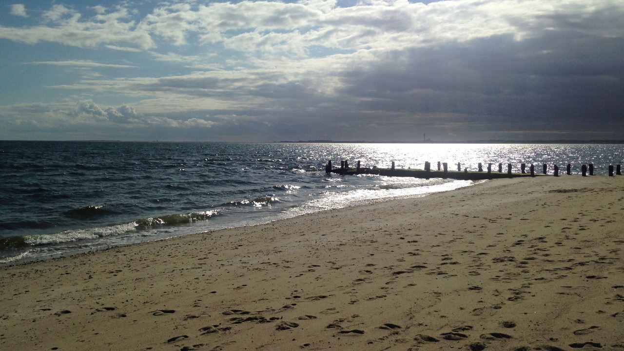 Photo of Others in North Truro