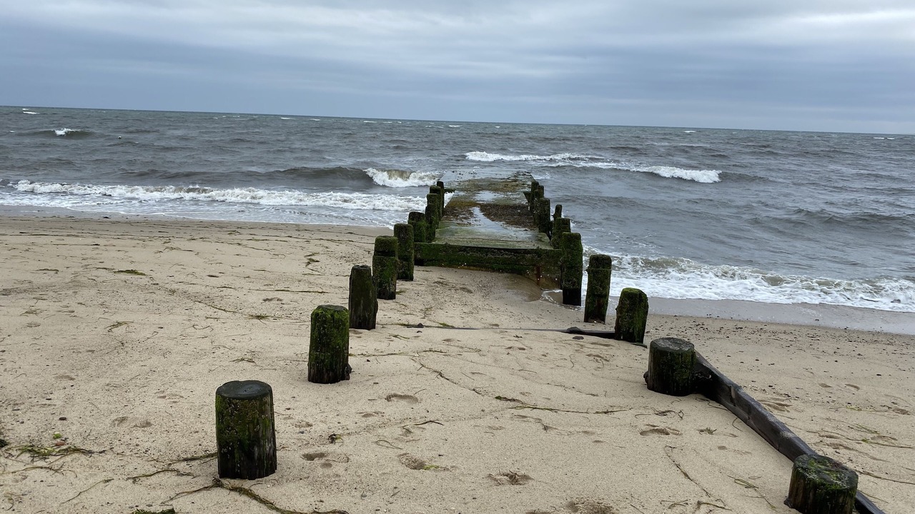 Photo of Others in North Truro