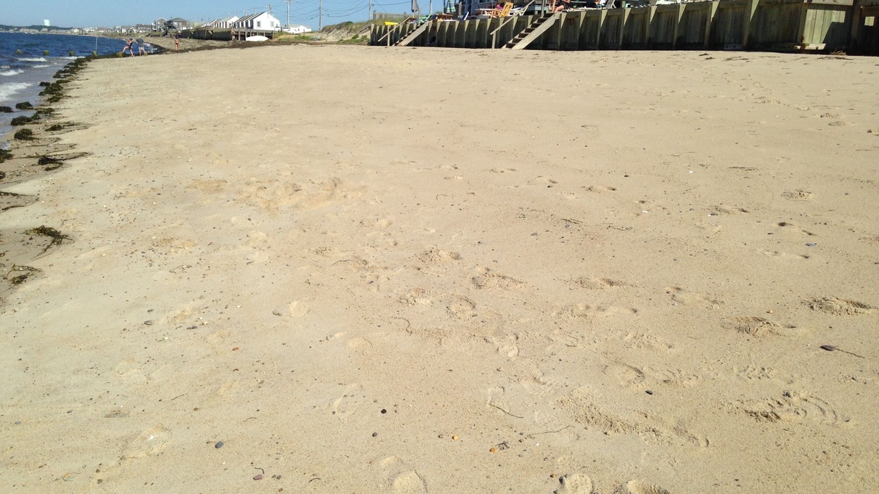 Photo of Others in North Truro