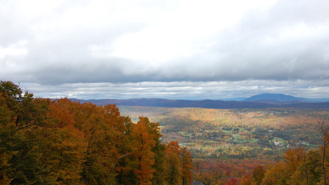 Photo of Others in Ludlow