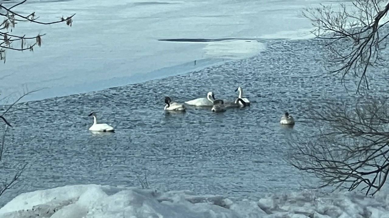 Photo of Others in Crofton