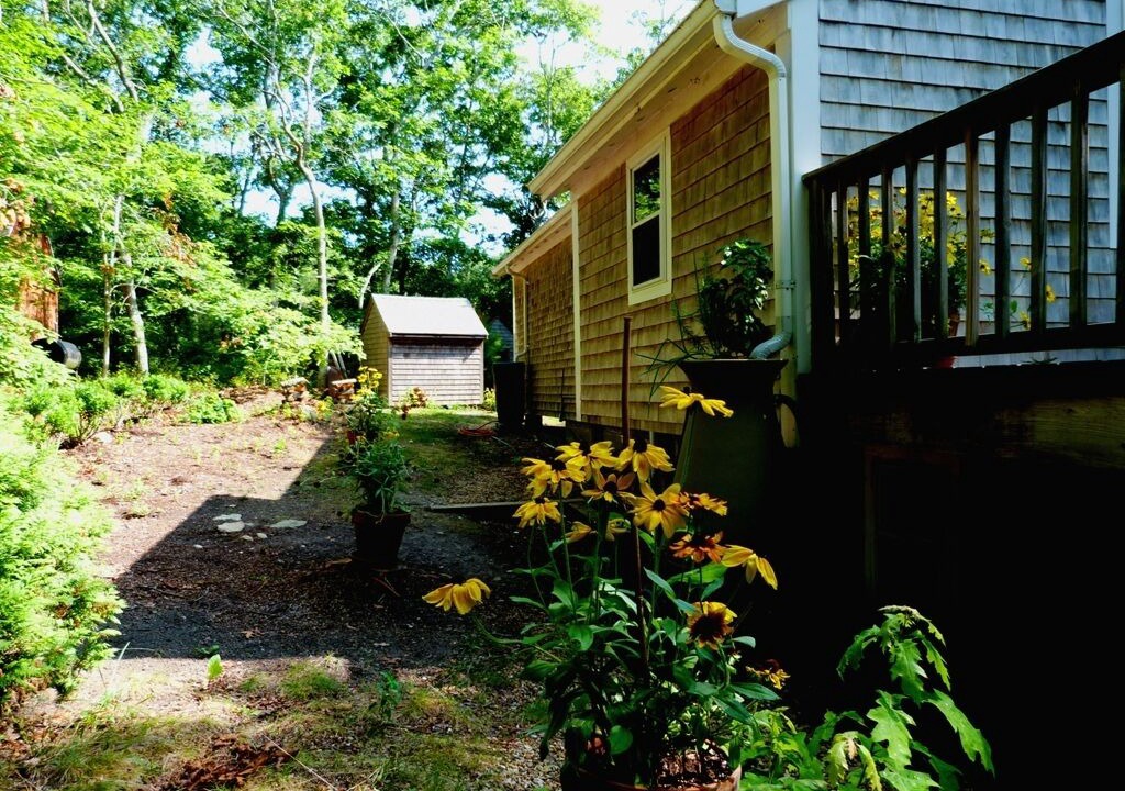 Photo of Others in Vineyard Haven