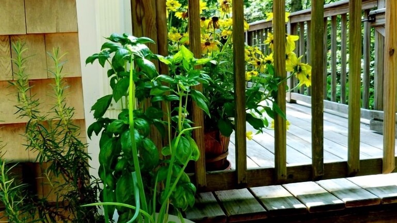 Photo of Others in Vineyard Haven