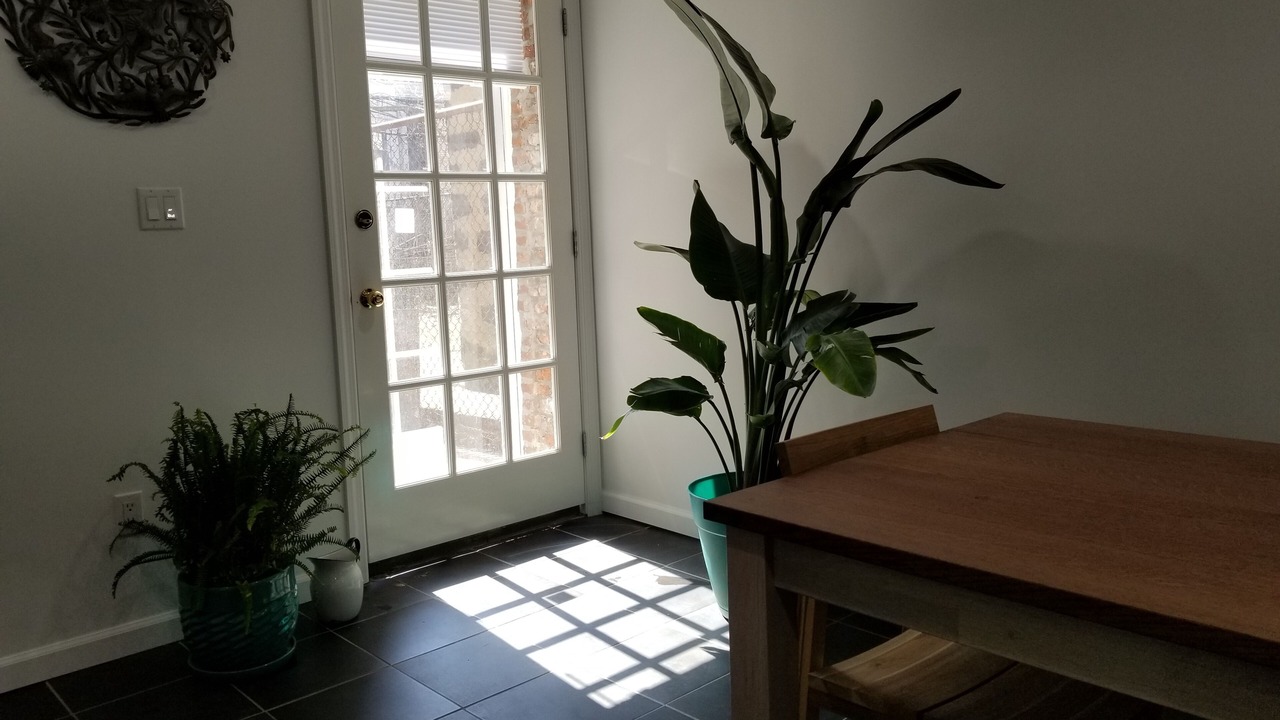 Photo of Others in Ditmars Steinway