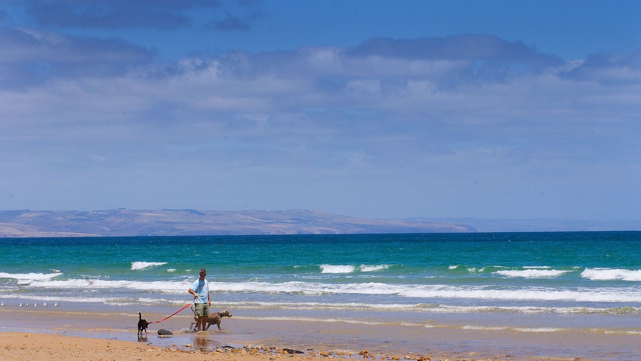 Photo of Others in Moana