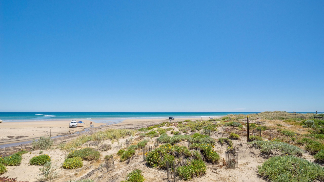 Photo of Others in Moana