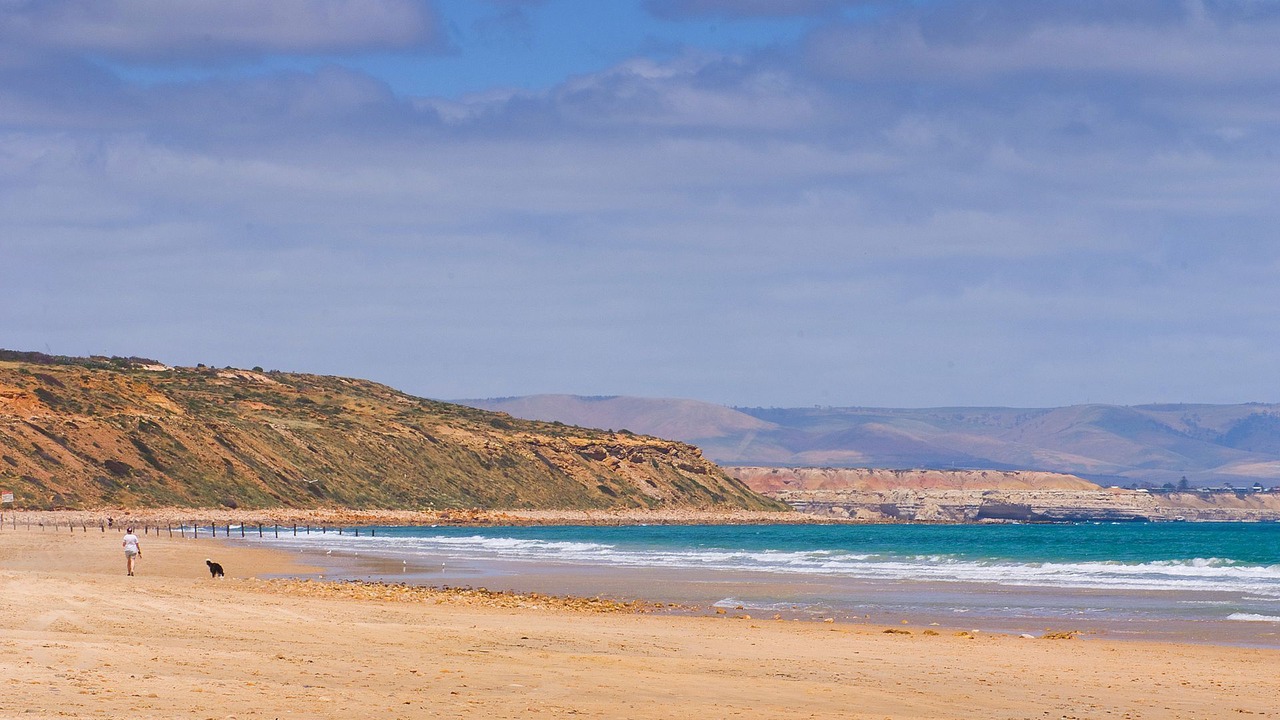 Photo of Others in Moana