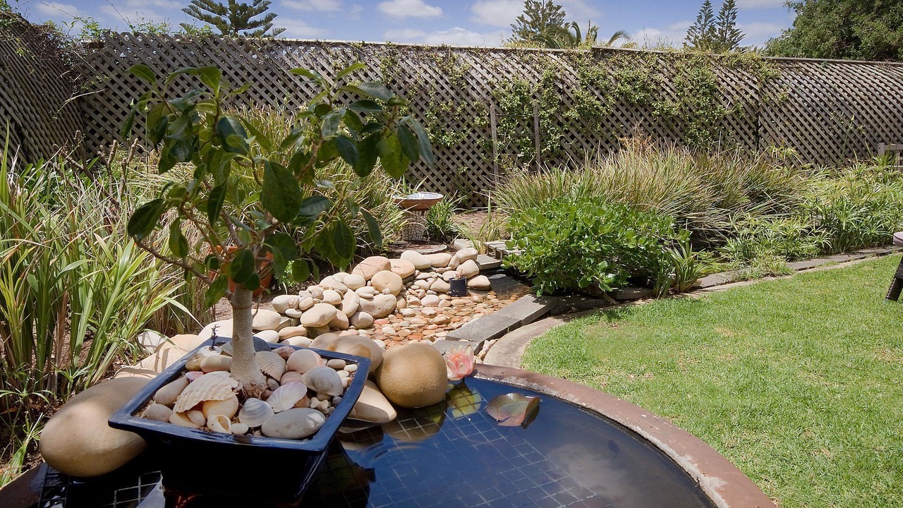 Photo of Outdoor in Moana