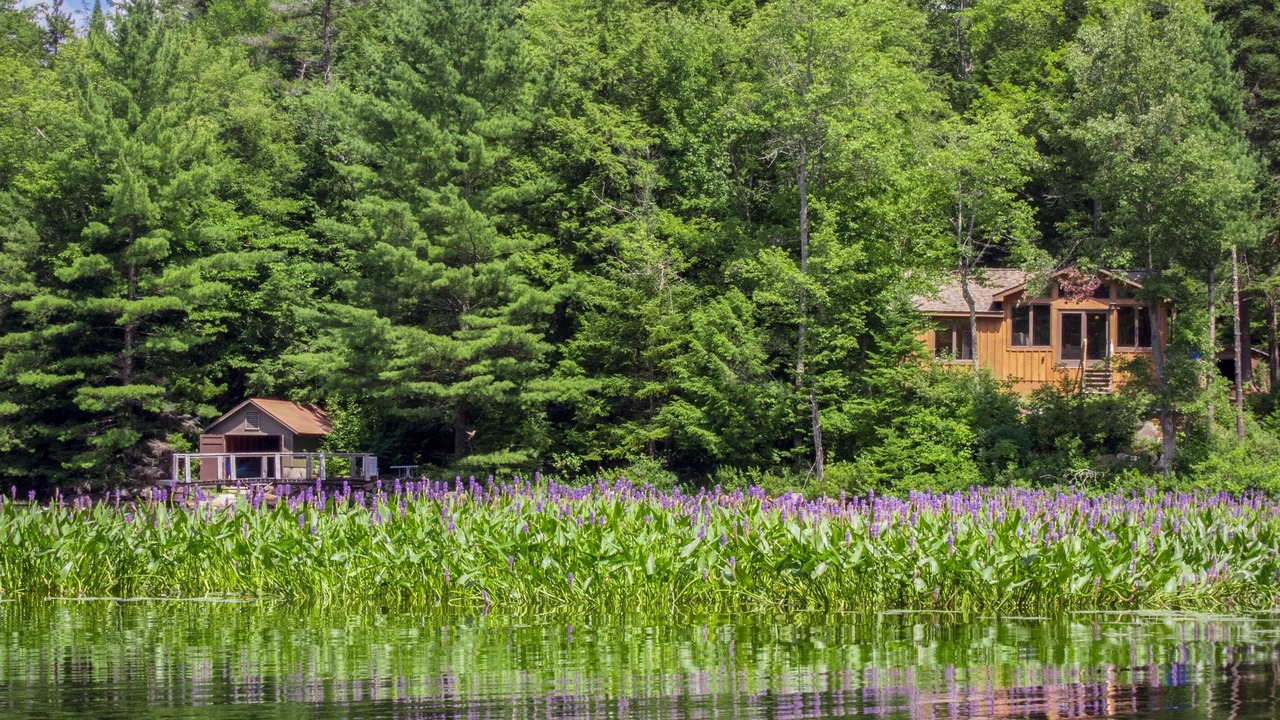 Photo of Others in Arietta