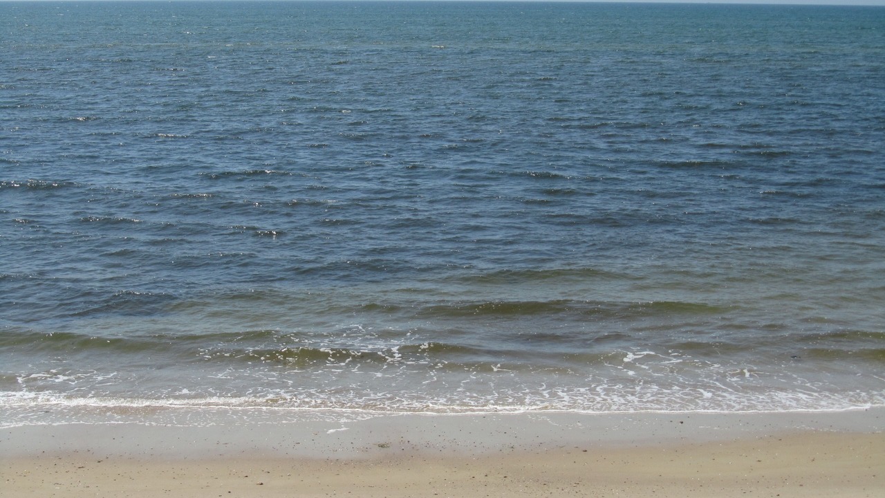 Photo of Others in Dennis Port