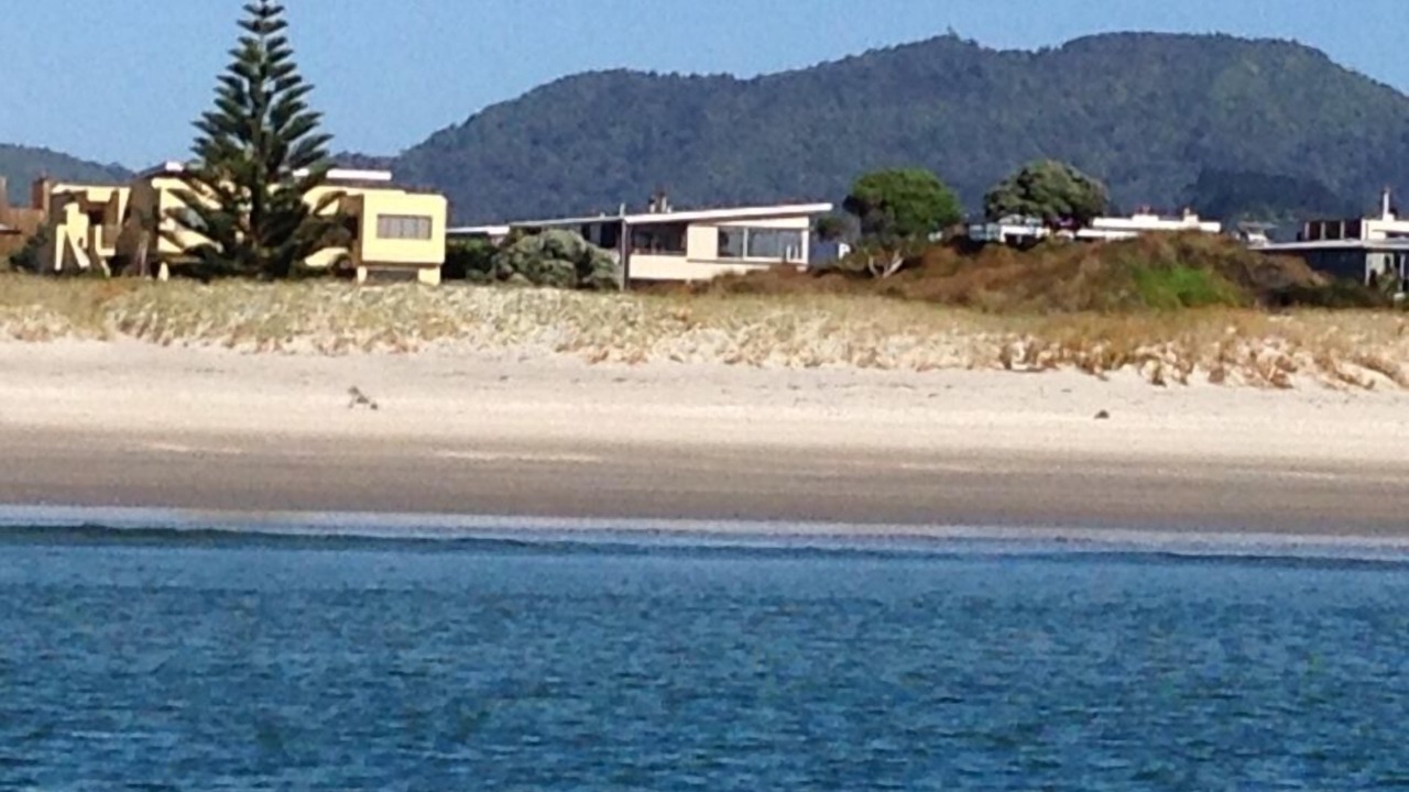 Photo of Others in Omaha