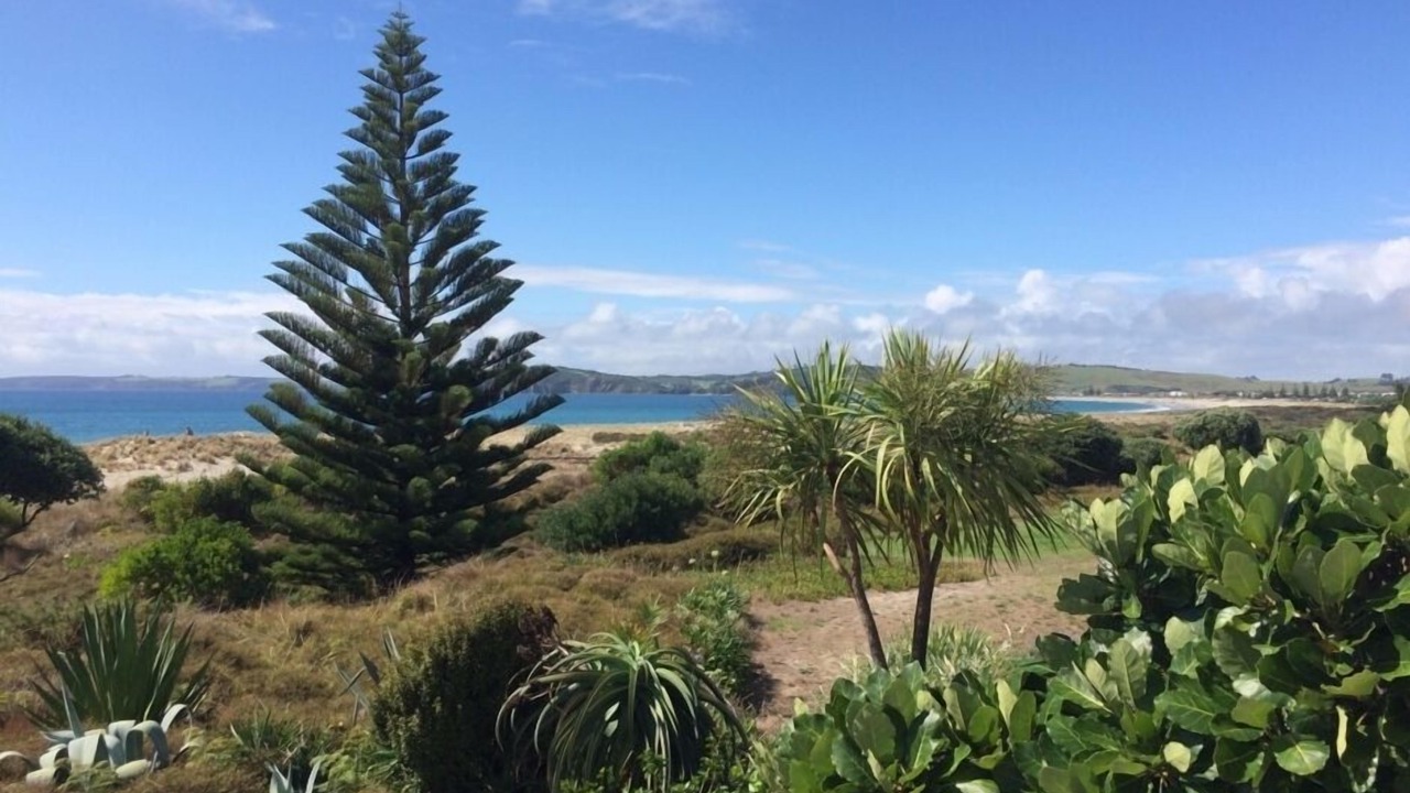 Photo of Others in Omaha