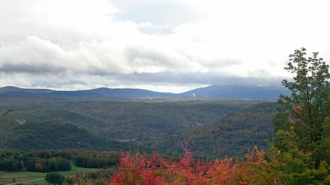 Photo of Others in Prattsville