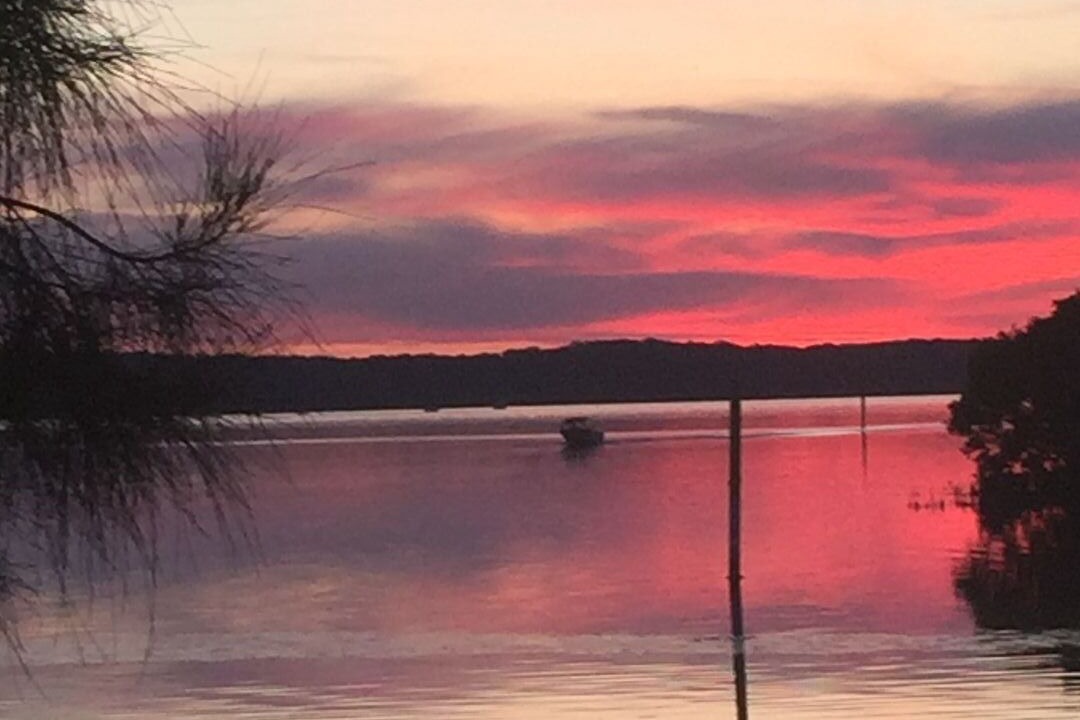 Photo of Others in Swansea