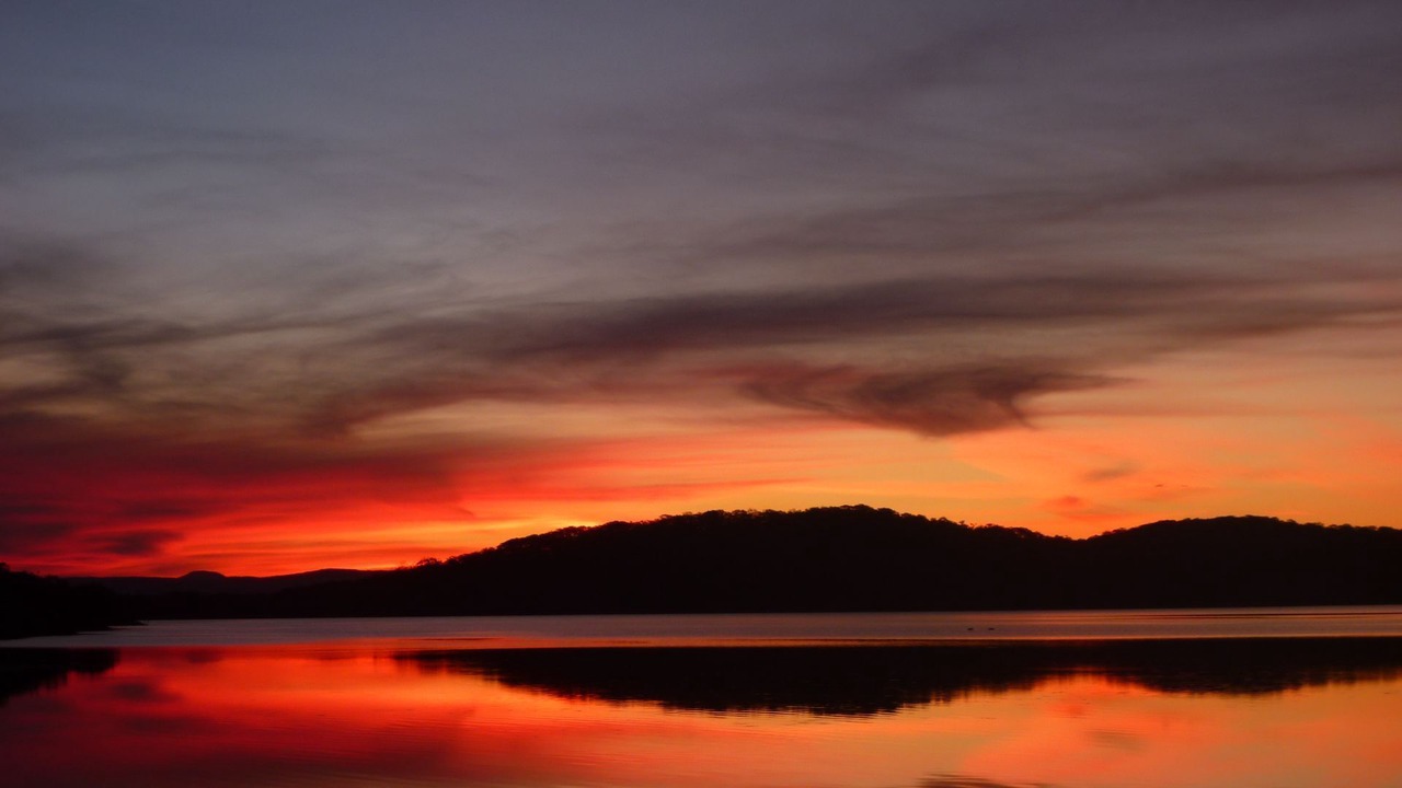 Photo of Others in Swansea