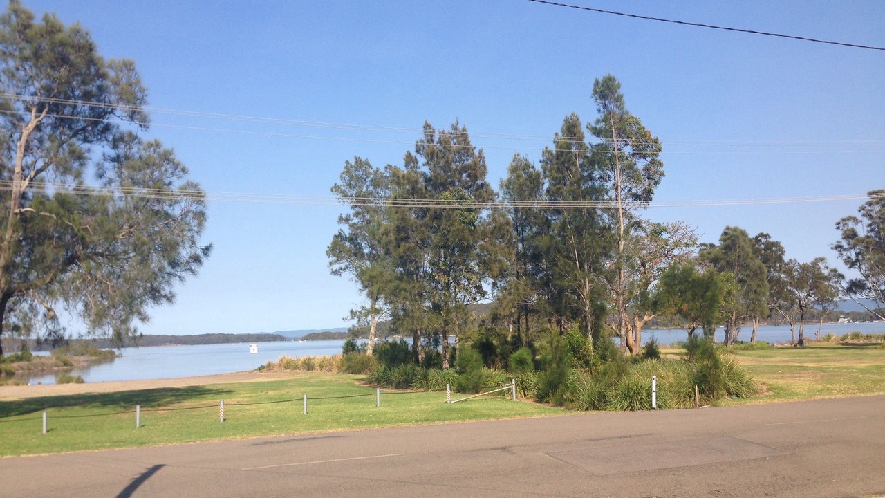 Photo of Others in Swansea