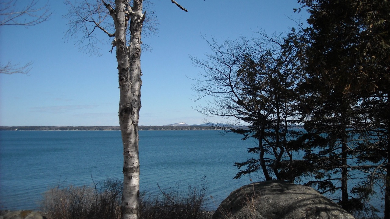 Photo of Others in Bar Harbor