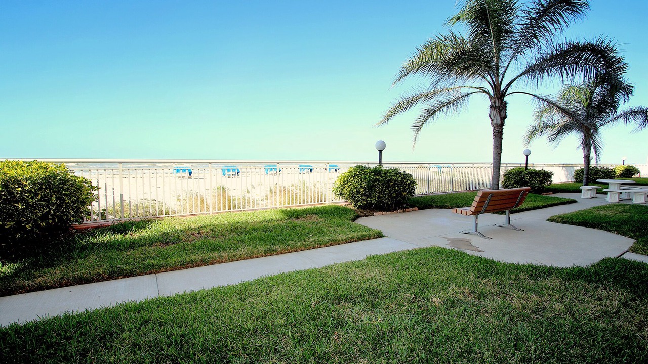 Photo of Outdoor in Indian Shores