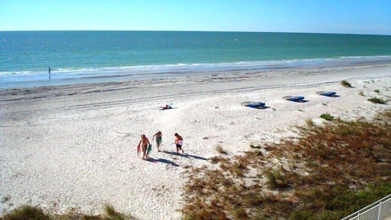 Photo of Others in Indian Shores