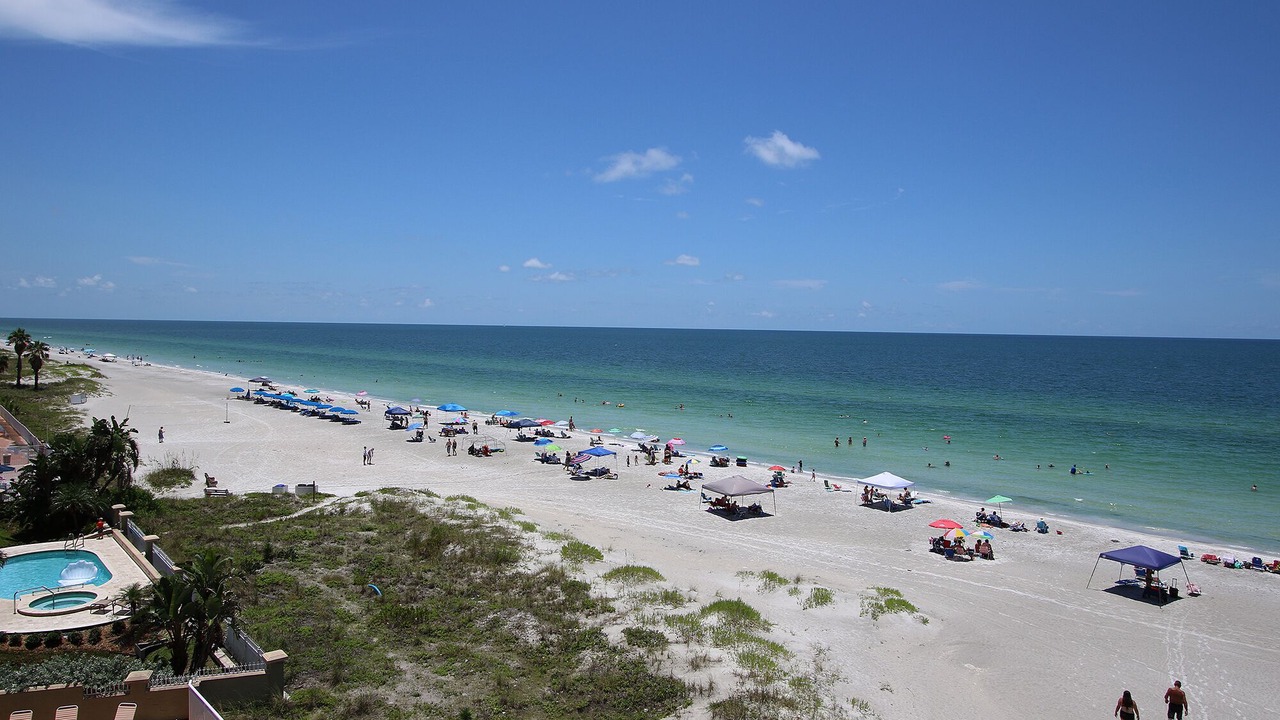 Photo of Others in Indian Shores