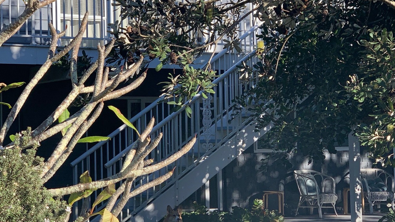 Photo of Outdoor in Budgewoi