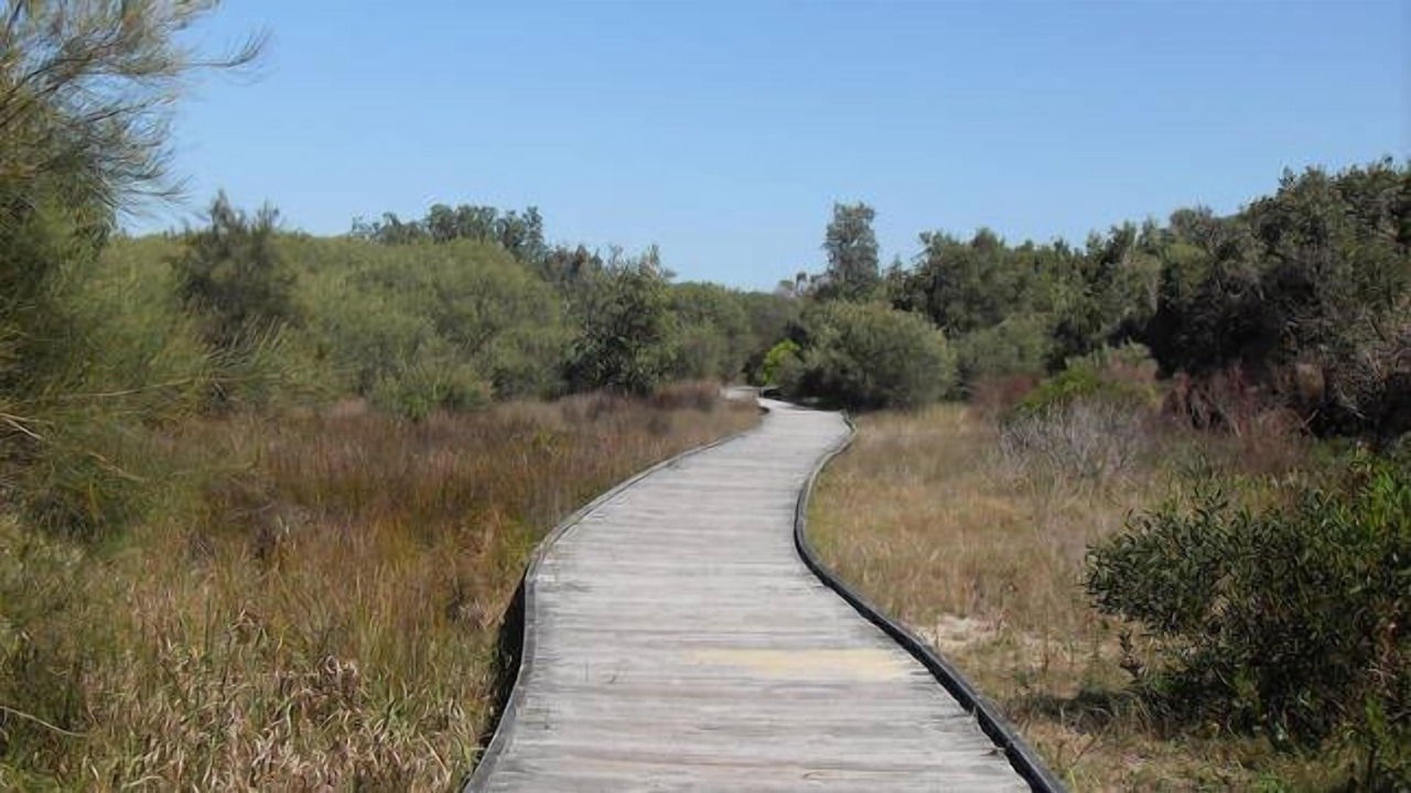 Photo of Outdoor in Budgewoi