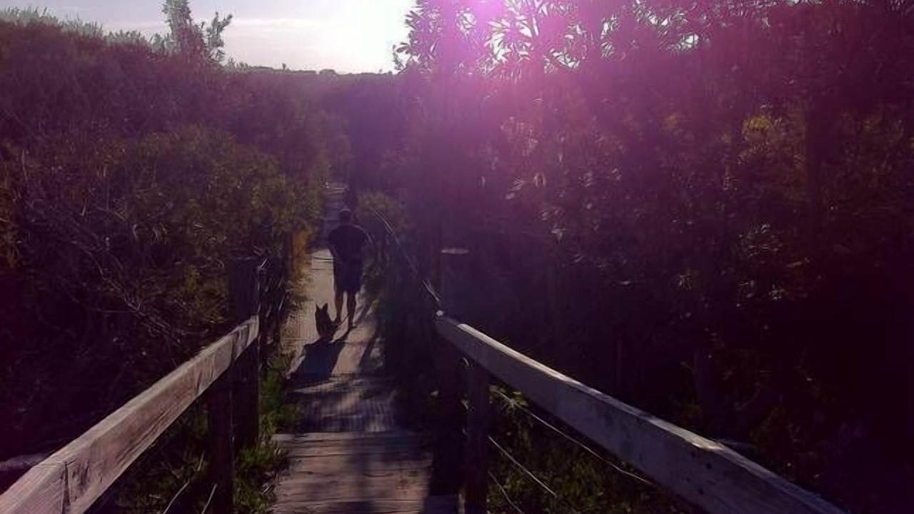 Photo of Outdoor in Budgewoi