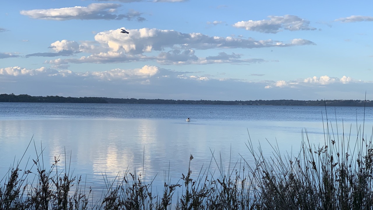 Photo of Outdoor in Budgewoi