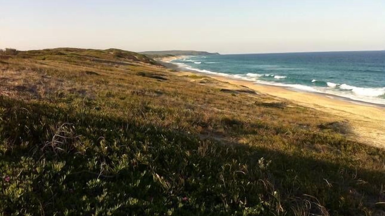 Photo of Others in Budgewoi