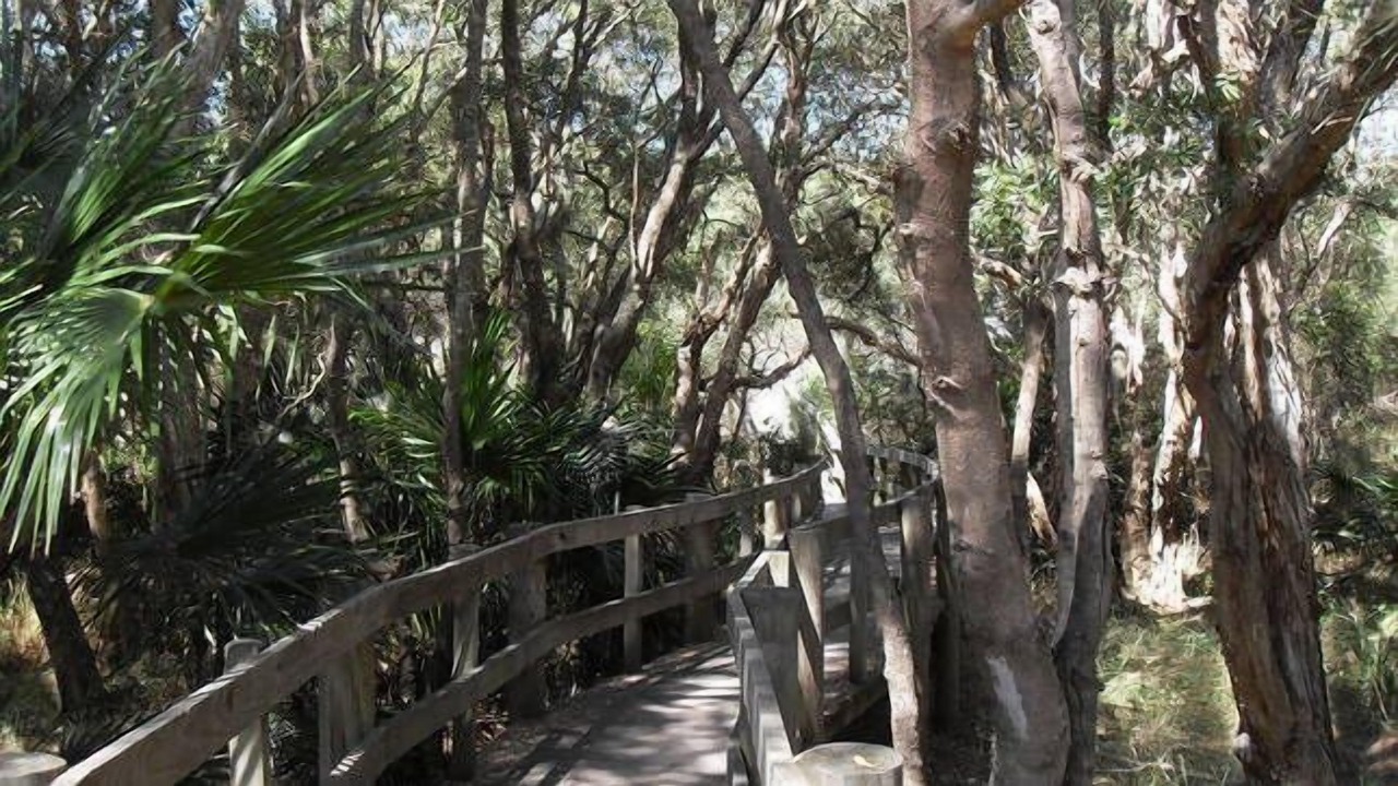 Photo of Outdoor in Budgewoi