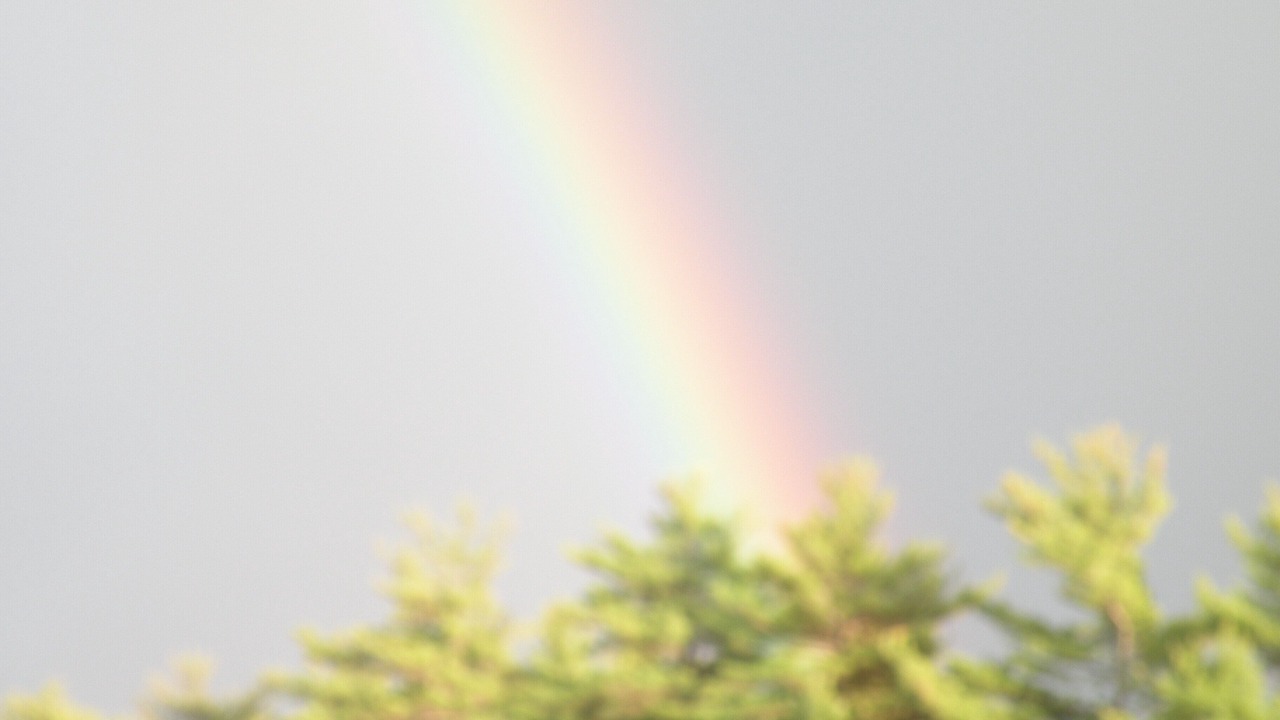 Photo of Others in Wolfeboro