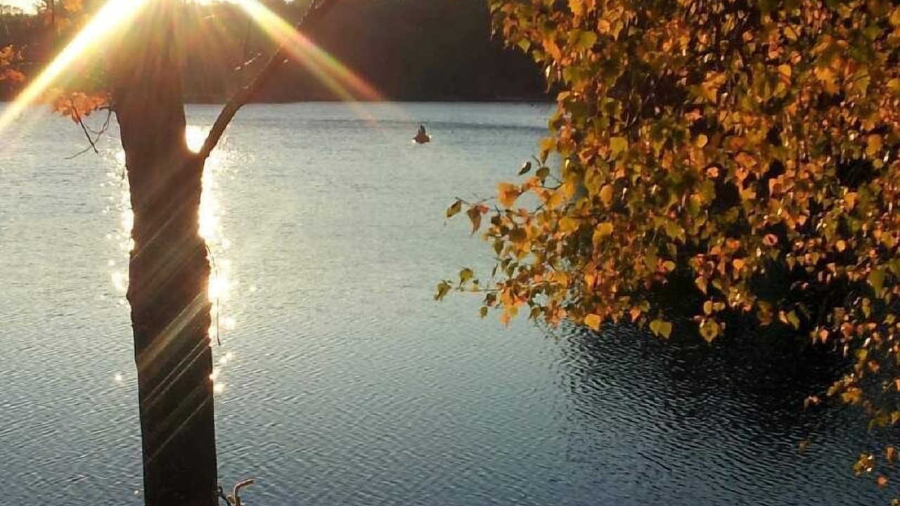 Photo of Outdoor in Wolfeboro