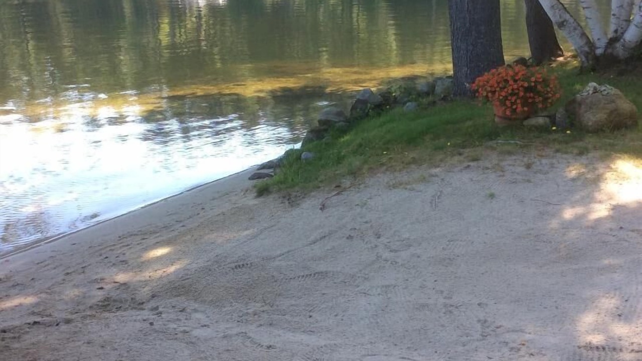 Photo of Others in Wolfeboro