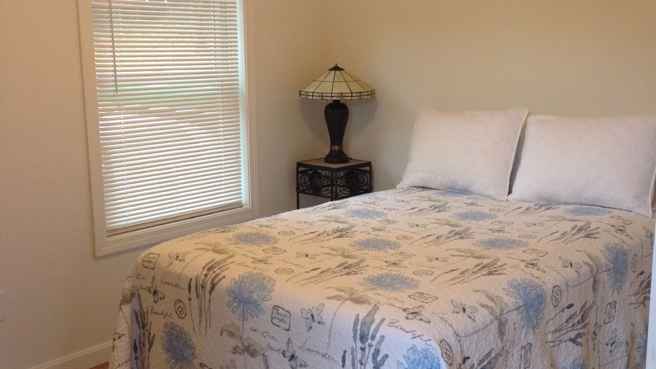 Photo of Others in Wolfeboro