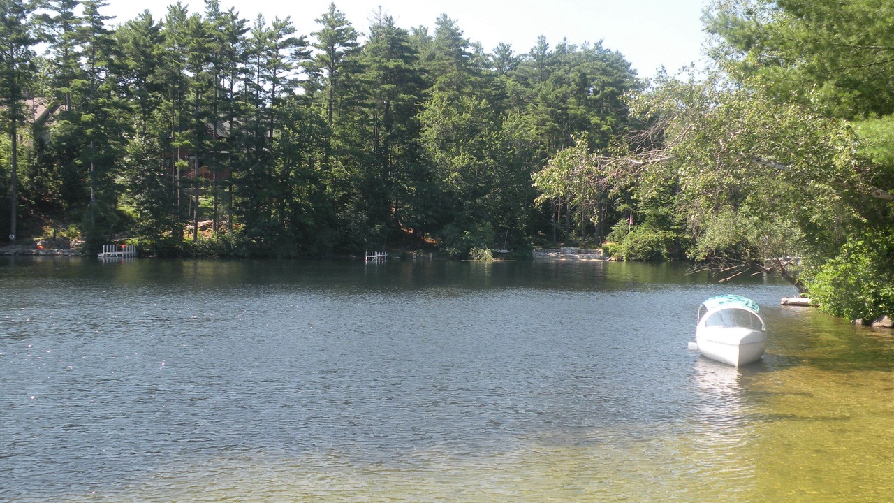 Photo of Others in Wolfeboro