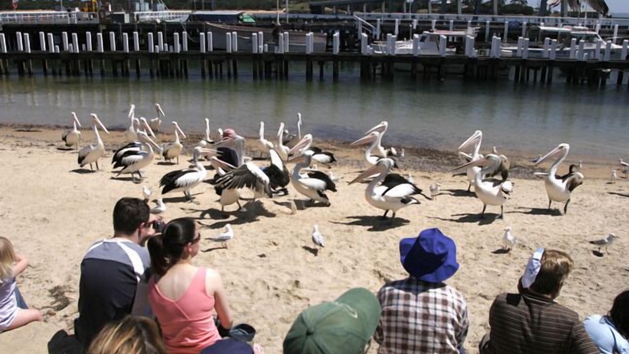 Photo of Others in San Remo