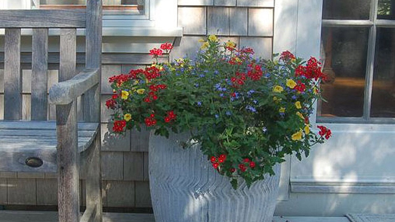 Photo of Outdoor in Katama