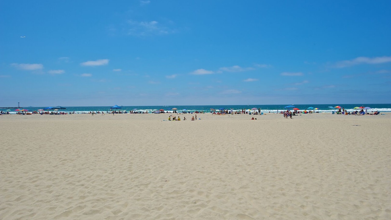 Photo of Others in South Mission Beach